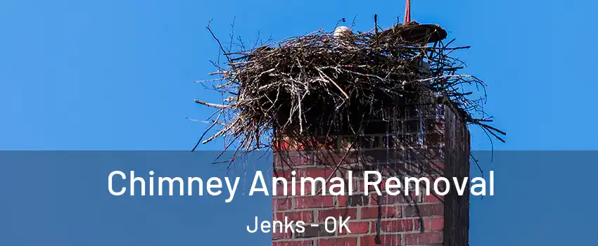  Chimney Animal Removal Jenks - OK